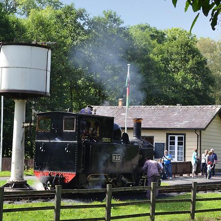 Вілла Celyn Bach - Uk37083 Llanwddyn  Екстер'єр фото